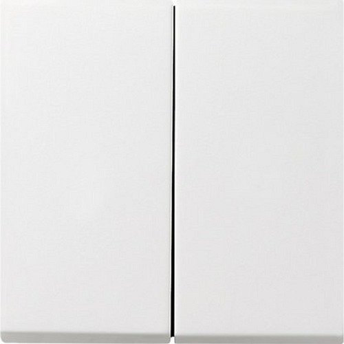 Gira Wippe 2f Flächenschalter Reinweiß