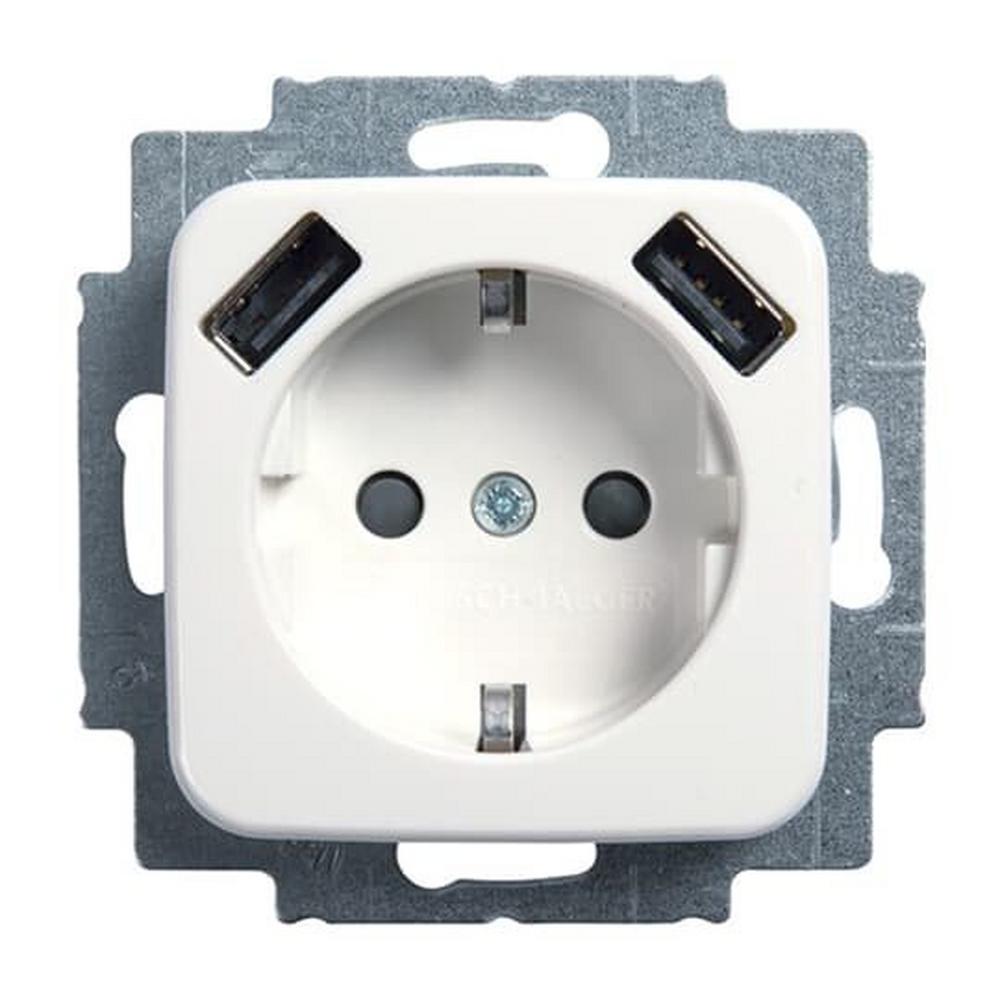 Busch-Jaeger 20 EUCB2USB-214, SCHUKO® USB-Steckdosen-Einsatz Safety+ mit USB A/A alpinweiß - Reflex SI