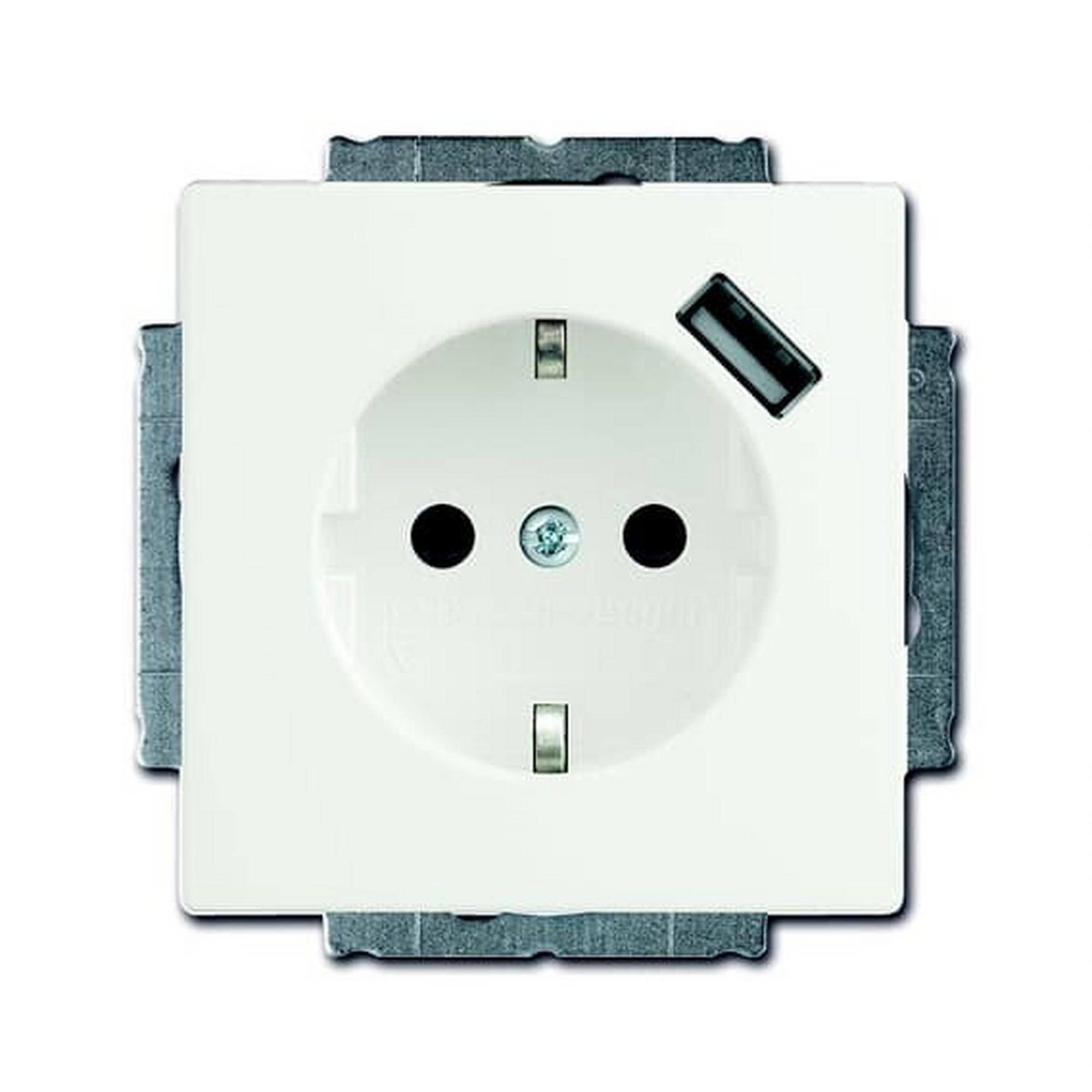 Busch-Jaeger 20 EUCBUSB-884, SCHUKO® USB-Steckdose mit erh. Berührungsschutz