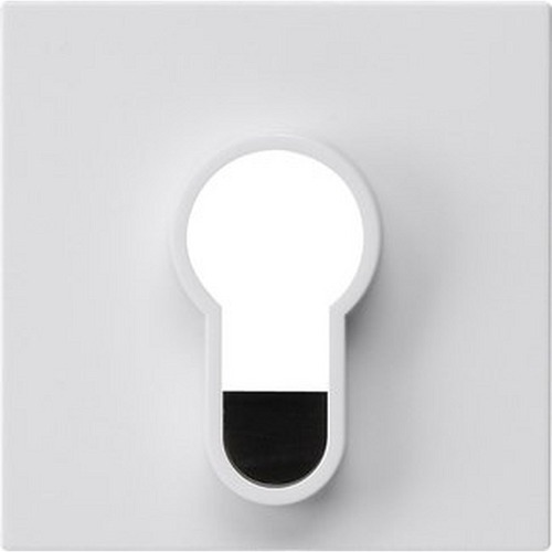 Gira Abd. Schlüsselsch./-taster o.Aufdruck System 55 Reinweiß