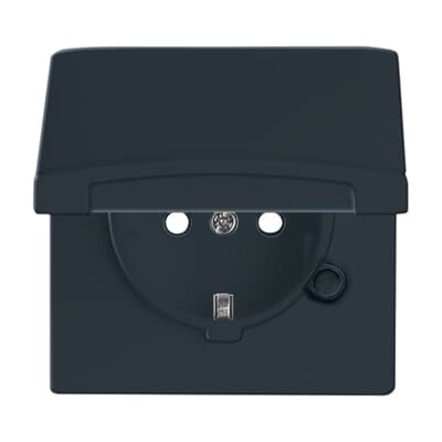Busch-Jaeger SCHUKO® Steckdosen-Einsatz Safety+ mit Klappdeckel anthrazit - Allwetter 44®