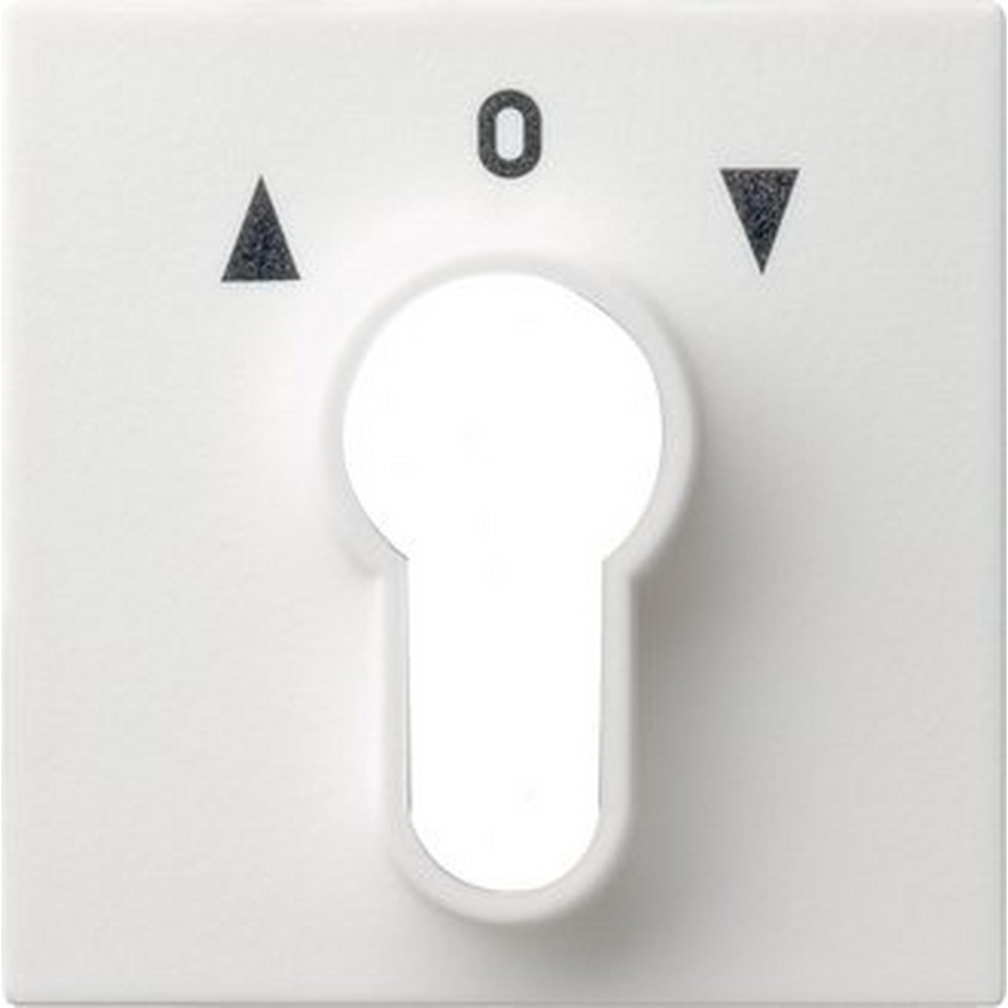 Gira 066403, Abd. Schlüsselschalter/-taster System 55 Reinweiß