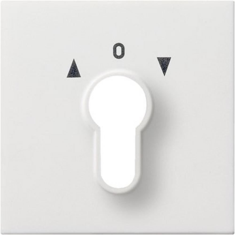 Gira 0664112, Abd. Schlüsselschalter/-taster Flächenschalter Reinweiß