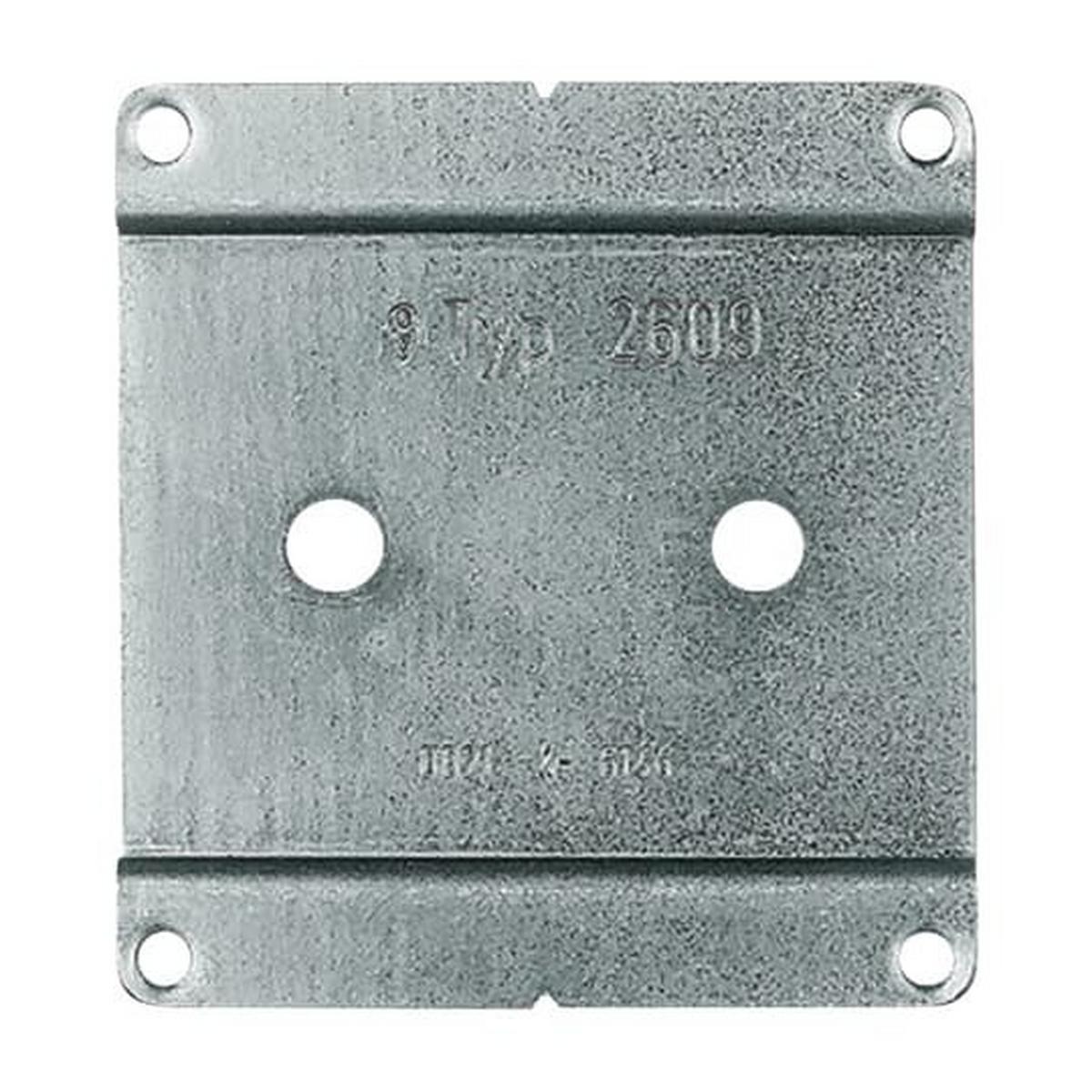 Busch-Jaeger Montageplatte 1-fach messing