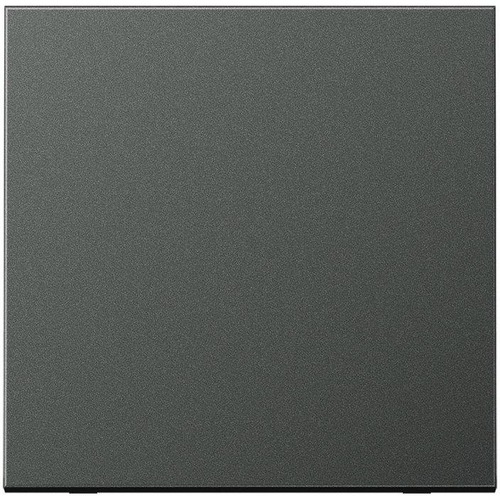 Jung Wippe 1fach, Aluminium lackiert, Serie LS, anthrazit (AL2990AN)