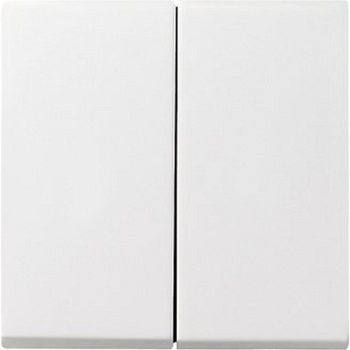 Gira Wippe 2f System 55 Reinweiß