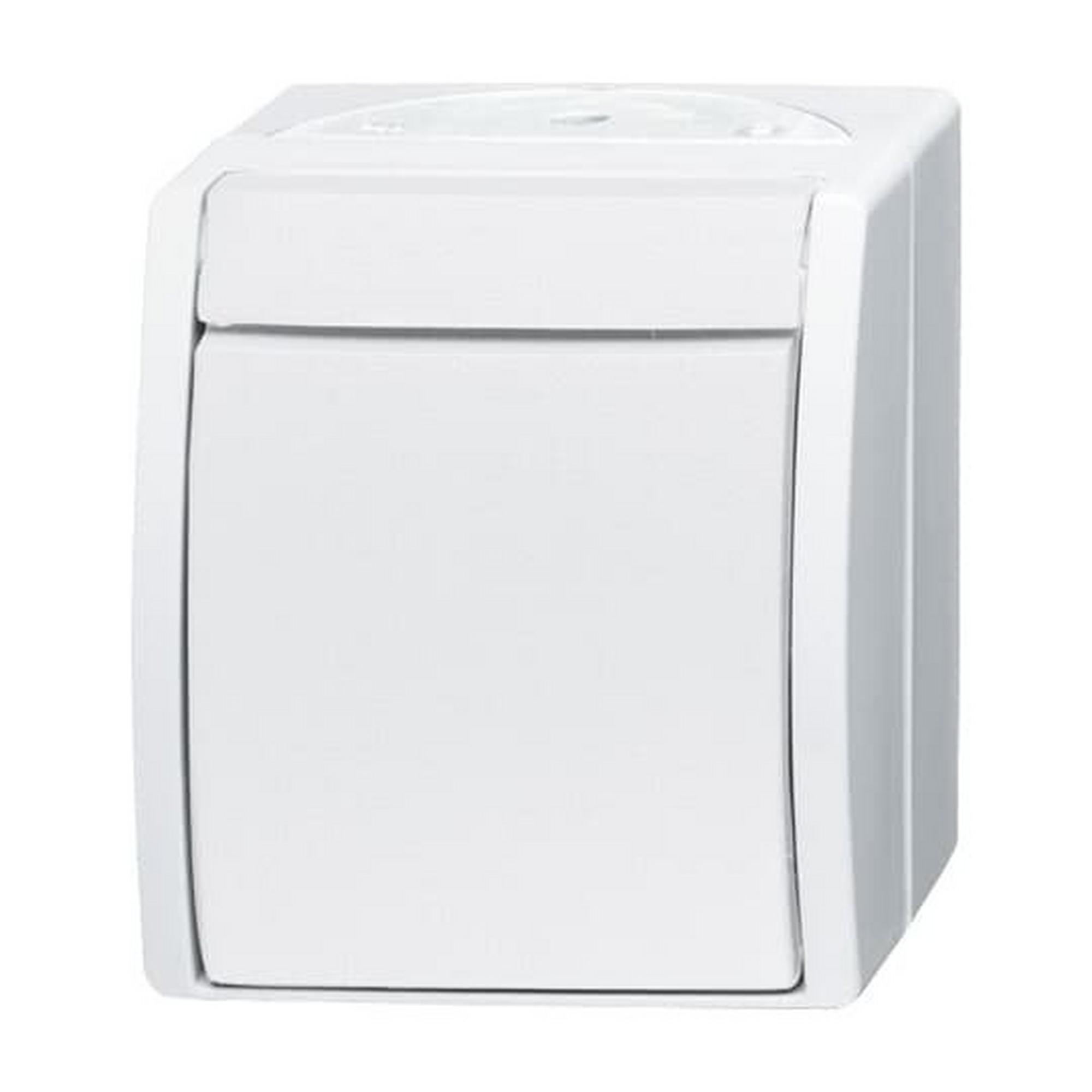 Busch-Jaeger 2601/6 W-54, Wippschalter Aus- und Wechselschaltung