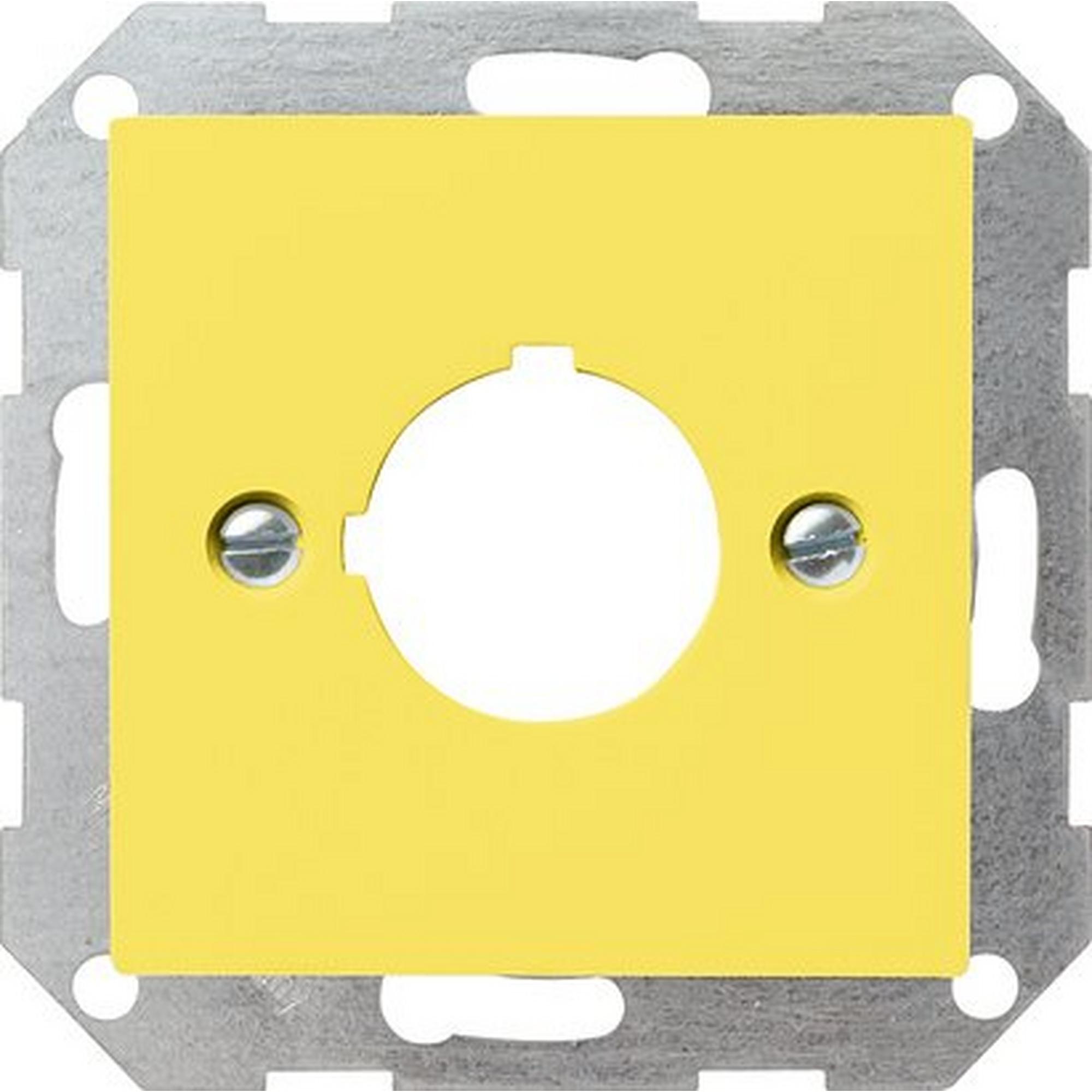 Gira 027102, Abd. Tragring Taster Ø 22,5 mm System 55 Gelb