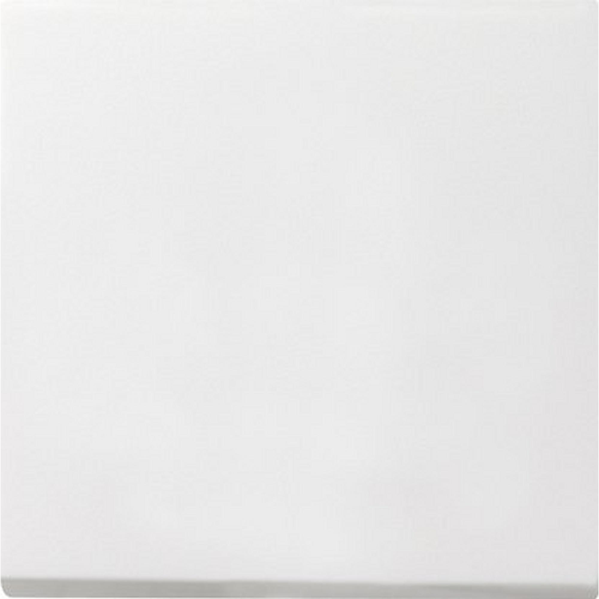 Gira 0296112, Wippe Flächenschalter Reinweiß